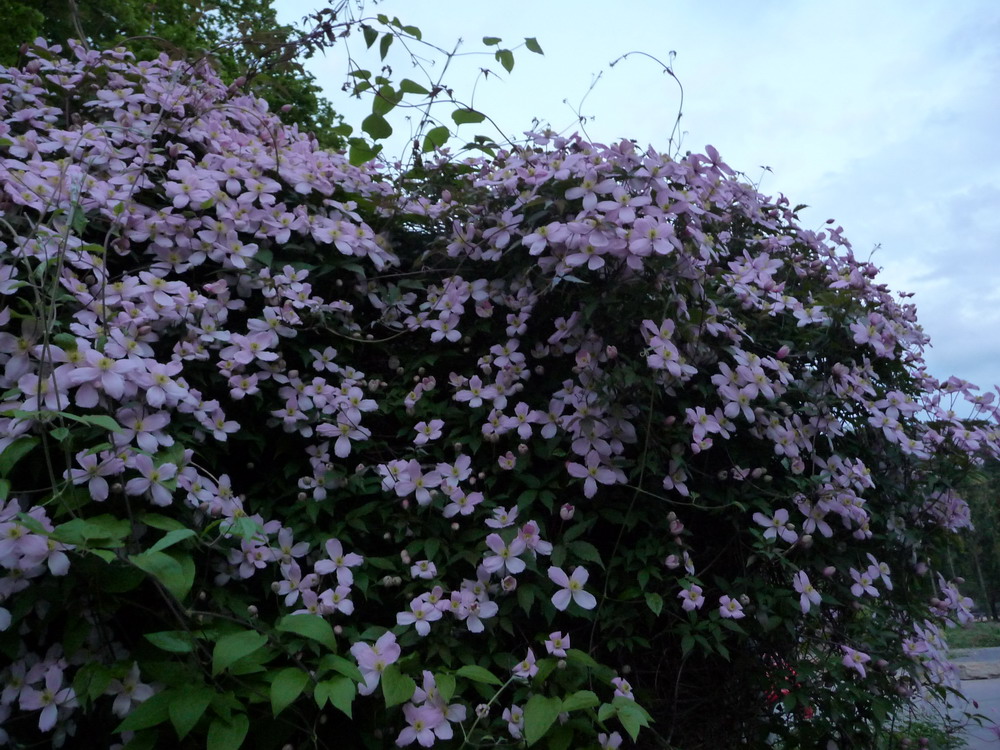 201005_NE/2010-05-16 21-28-34_Nei_Ettelbruck.JPG